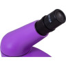 Микроскоп LEVENHUK Rainbow 50L Amethyst\Аметист 69047